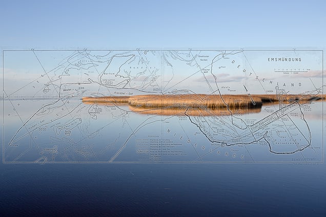 Cooperation in the Dollard Bay