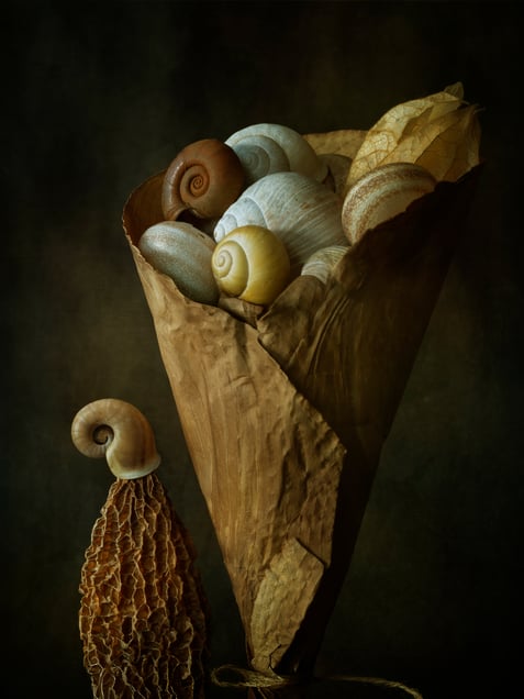 Vessel of Memories