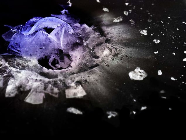 .44 Magnum © Deborah Bay