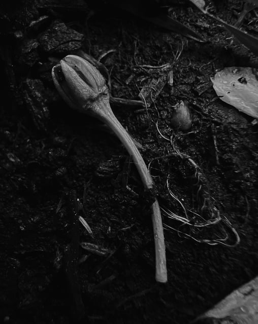 Life & Death