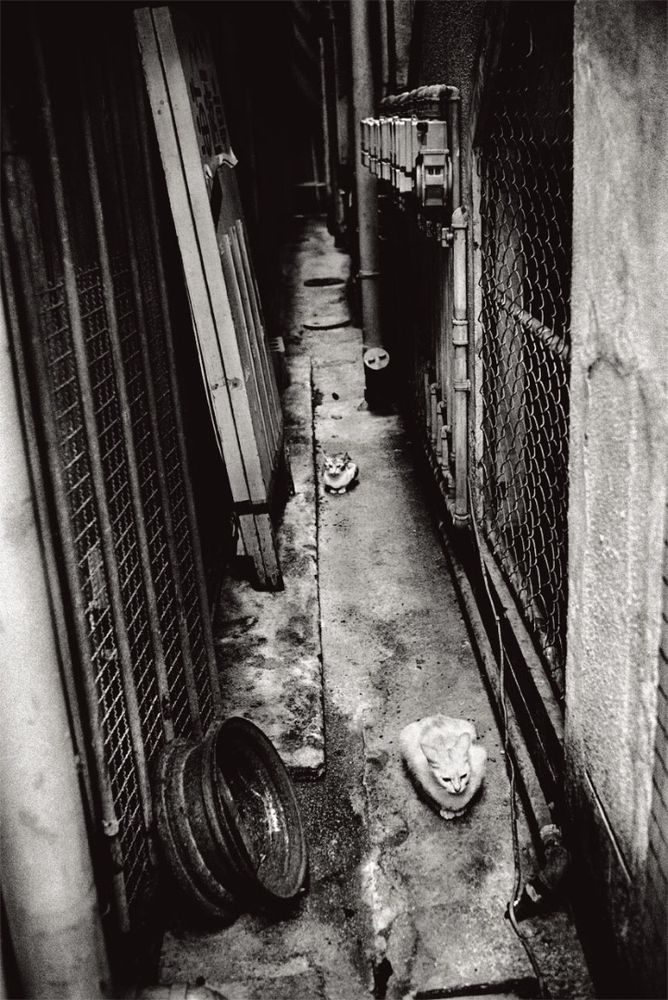 Anders Petersen by Christian Caujolle