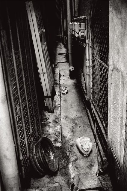 "Anders Petersen par Christian Caujolle" from the collection "juste entre nous" © Anders Petersen