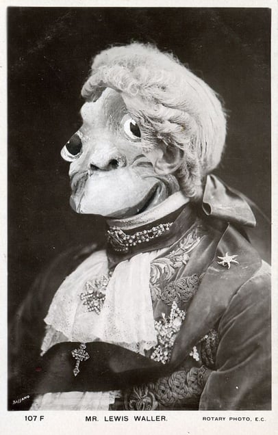 Face of Primate Actor in 18th-Century  Costume