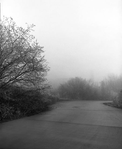 © Awoiska van der Molen