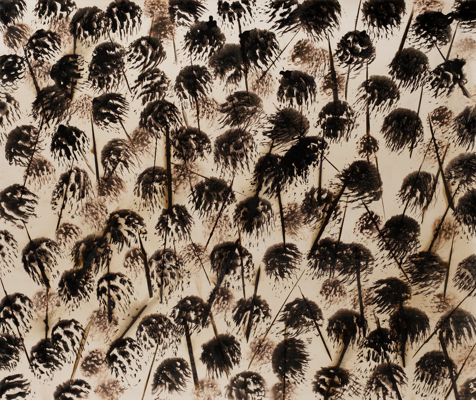 They Tried to Bury Us, but They Didn't Know We are Seeds