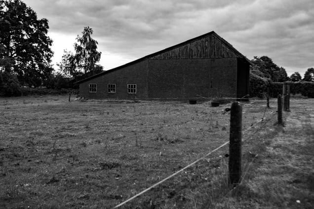 Countryside landscapes