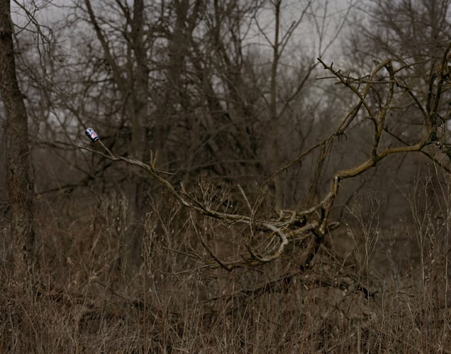 Branched Oak, Nebraska
