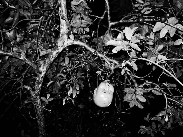 Poison © Aji Susanto Anom