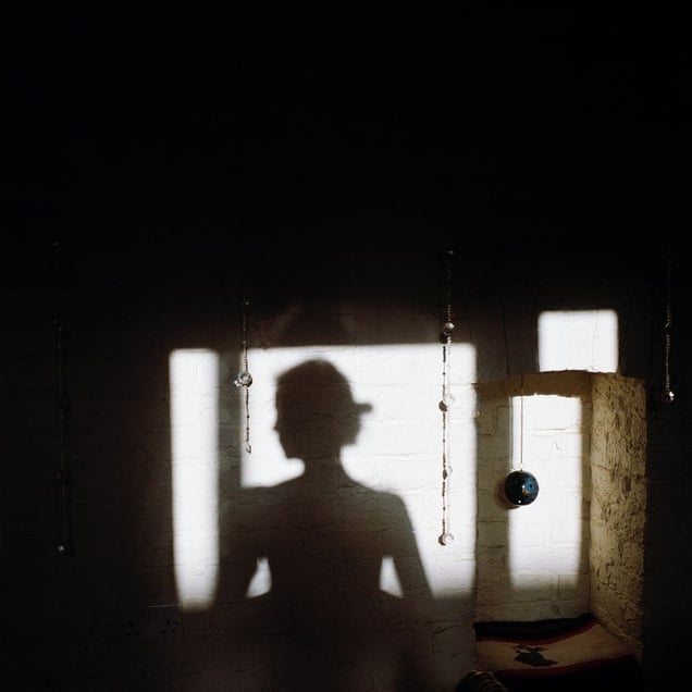 Narcissus #2, from the series Still Here © Lydia Goldblatt