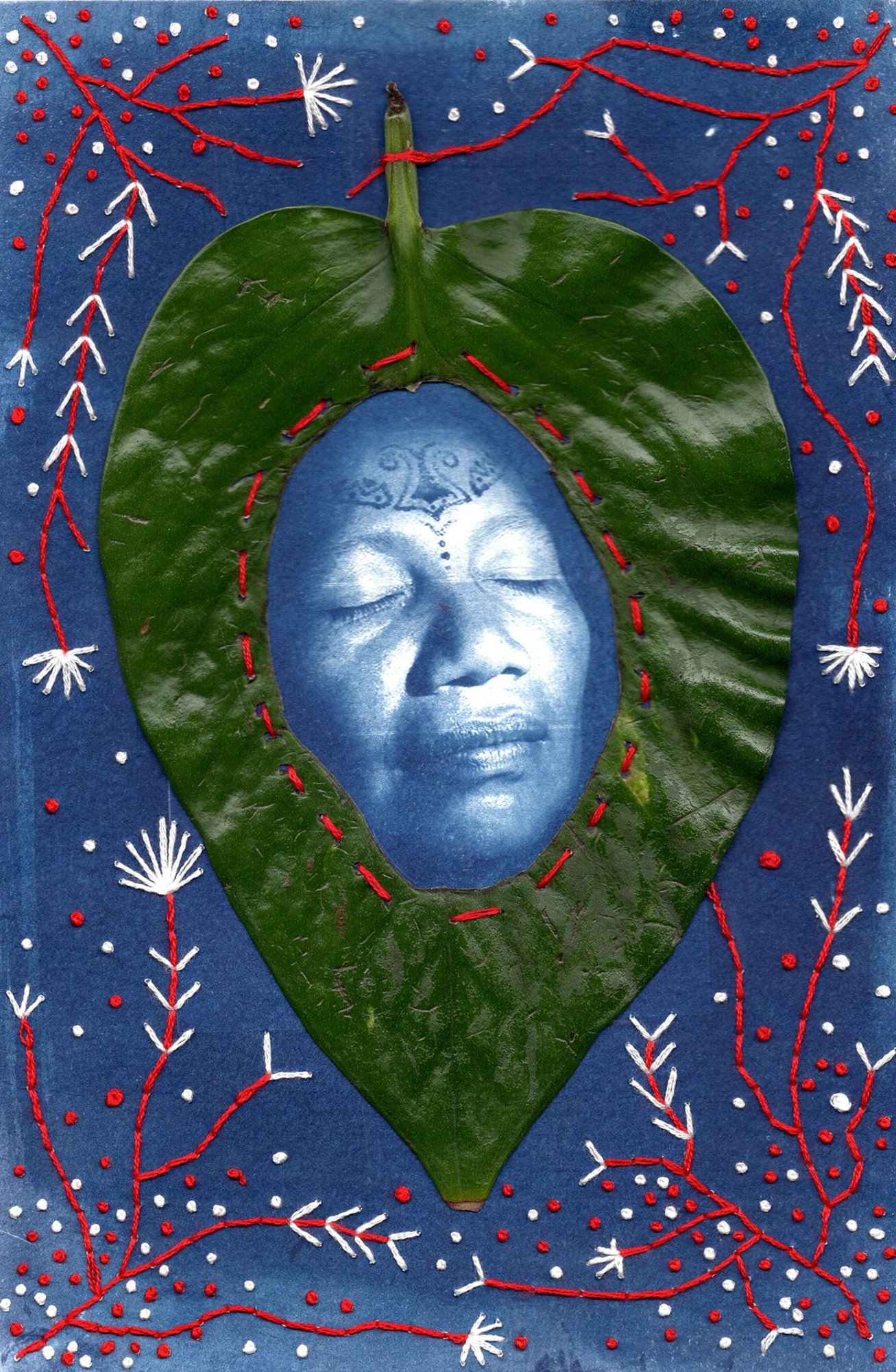  In Between Dreams the Forest Echos the Song of the Burning Anaconda