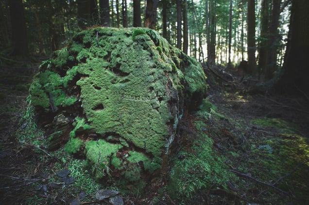 Installation 4, Stamp Hammer