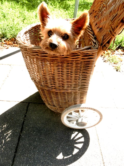 "ACHTUNG BABY!