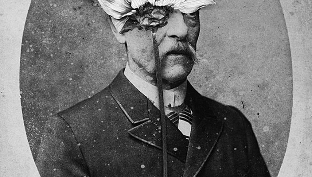 "Elysium", 2013, #1 © Marcela Paniak