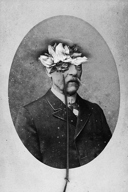 "Elysium", 2013, #1 © Marcela Paniak