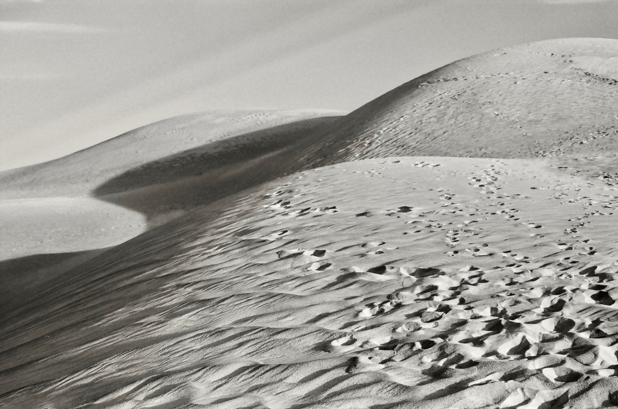 Lancelin Dunes