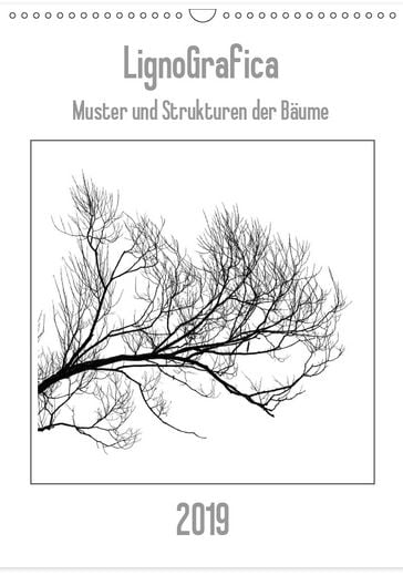 LignoGrafica - Muster und Strukturen der Bäume