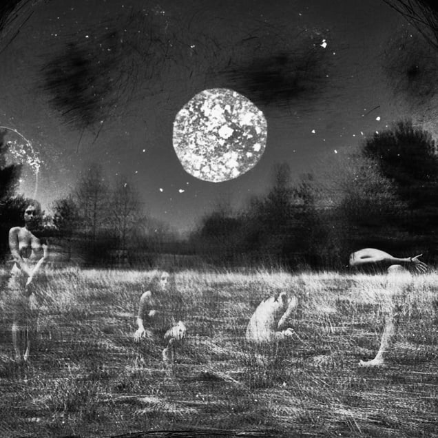 © Michael Donnor