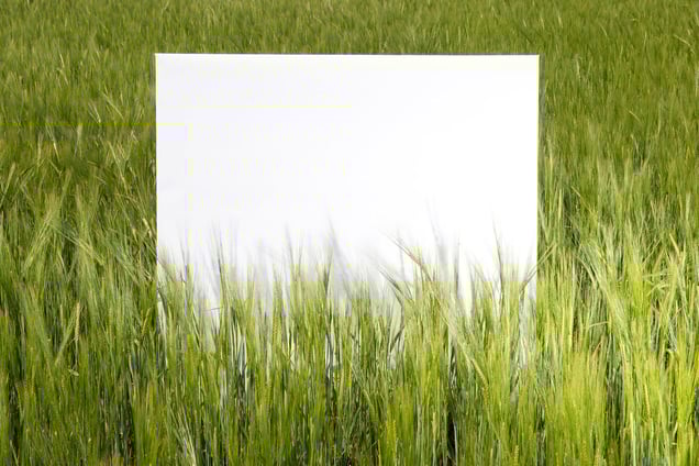 Stage: Lazio. Wheat fields in the Tuscania hills.