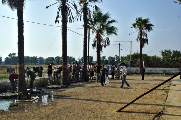 Captain Elias resort, outdoor washing area