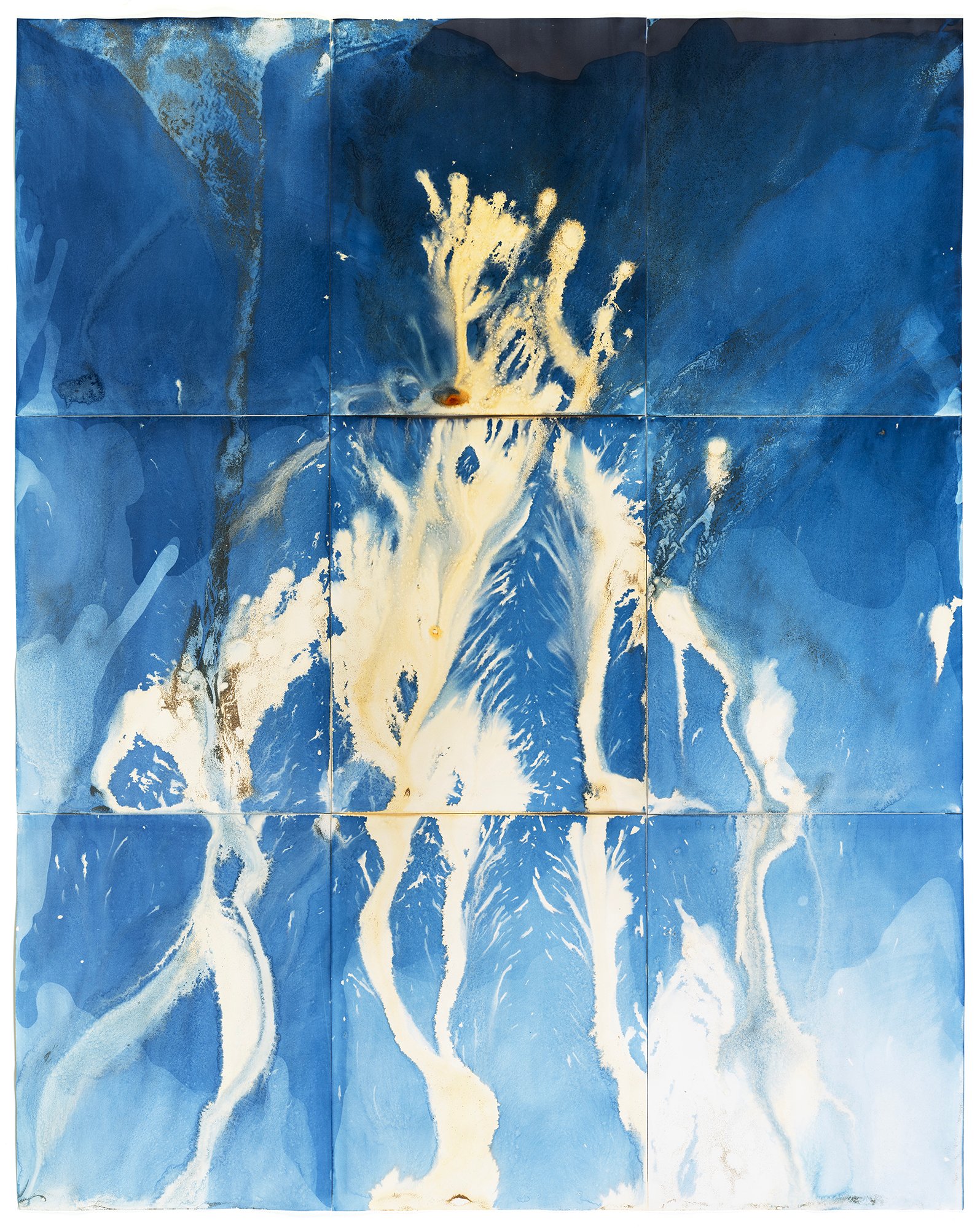 Meghann riepenhoff, adaptive radiation #1 (hanford reach, washington, usa, 5.23.2025, river water, reference woman, reducing agent), may 23, 2025, series state shift, 2024–2026, unique dynamic cyanotype courtesy of the artist.