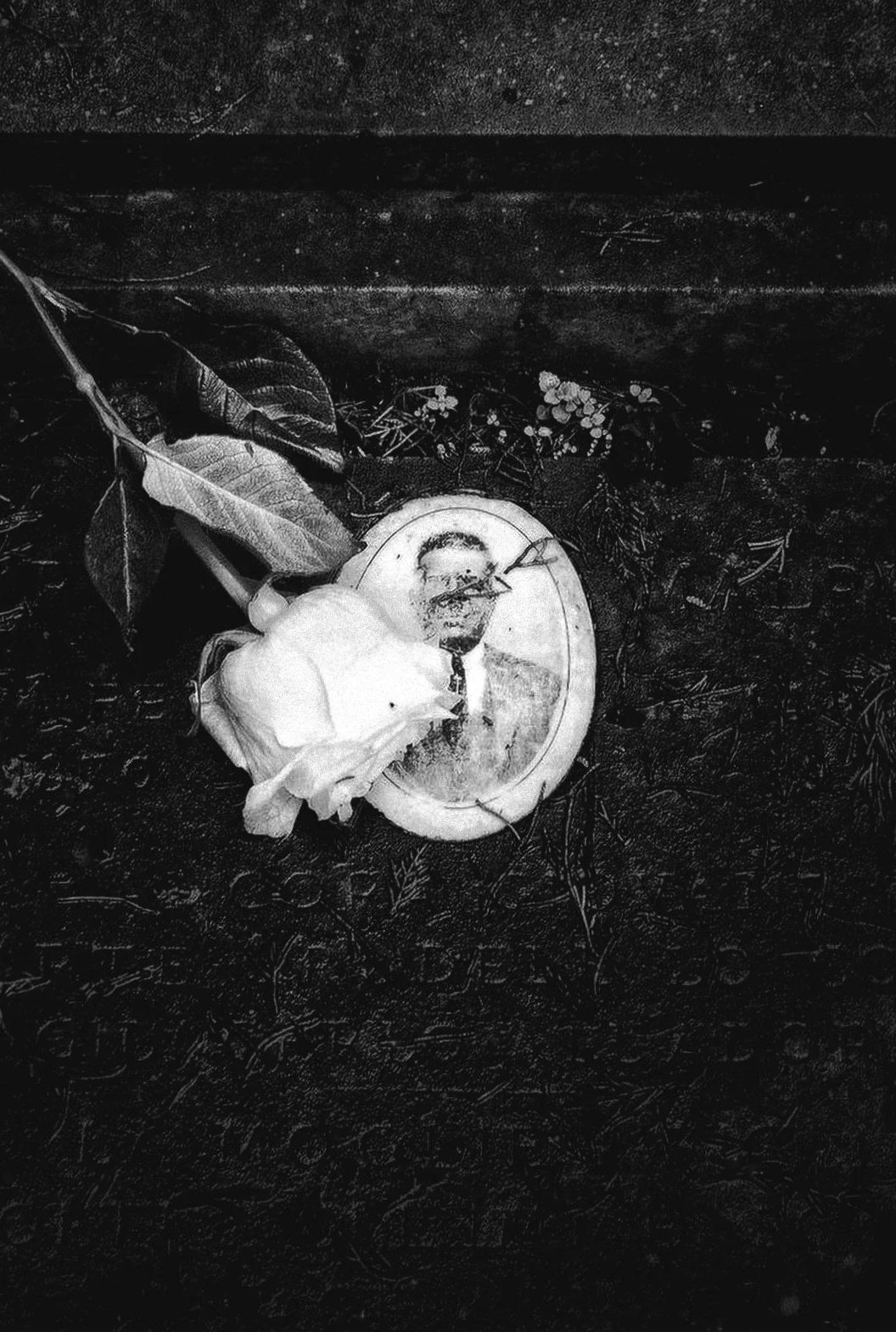  A Fading Illusion (Vahm-e Mahv)