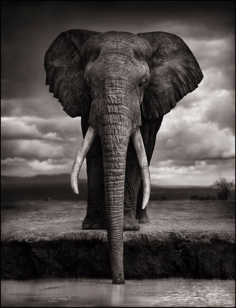 PhotoLondon 2015: Inspired by the Planet