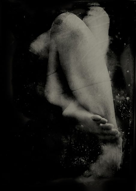The Forms From Which It Sprung. 10"x14" Tintype. From the series "Soma" © Michelle Rogers Pritzl