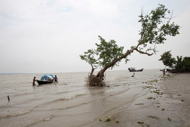 Fishermen catching fishes in a river of Patharghata in Barguna district, Bangladesh