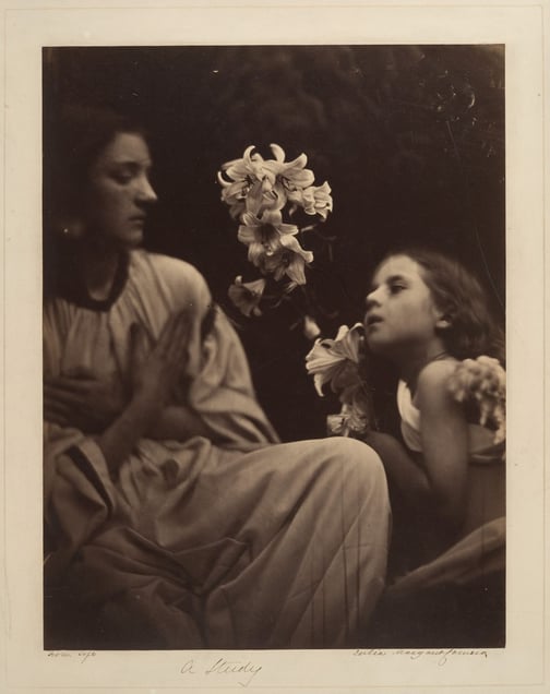 A Study (After Perugino) by Julia Margaret Cameron, 1865-66The Metropolitan Museum of Art, New York. Bequest of James David Nelson, in memory of Samuel J. Wagstaff Jr., 1988. Inv. 1990.1074.3