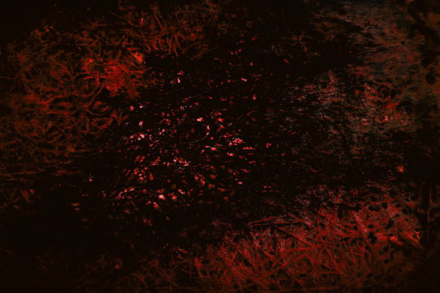 Reverberations in Echoes of Silence