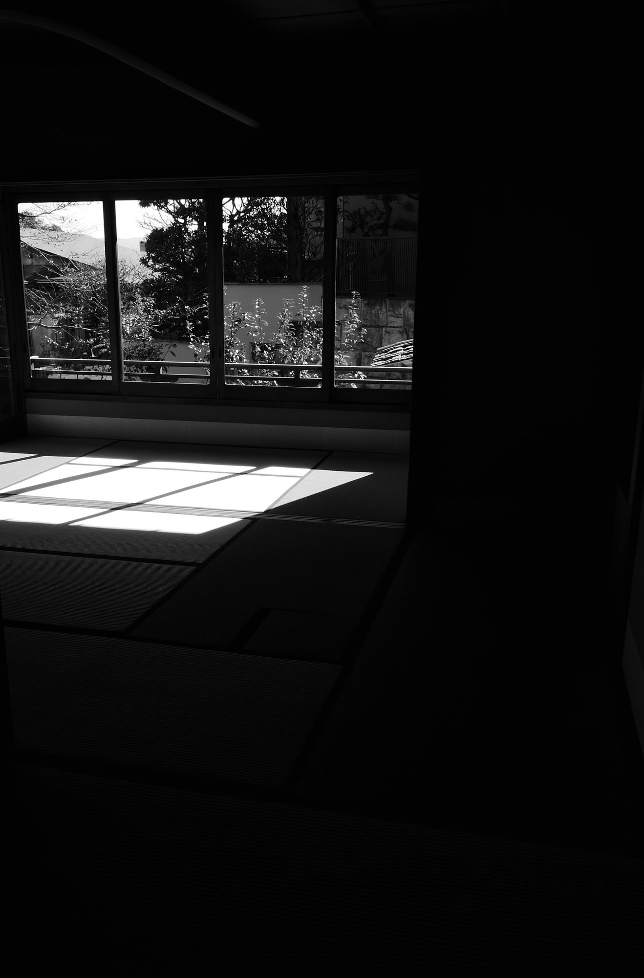 Where Light Comes to Rest