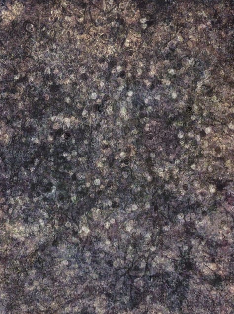 Infinities #6 36x46"  Edition of 5           ©Thomas Brummett