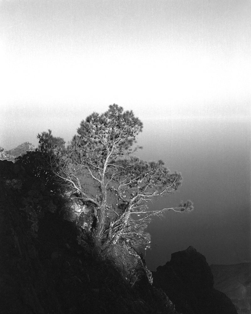 Blanco: Silent Landscapes - Interview with Awoiska van der Molen