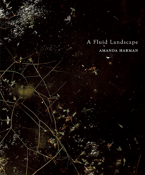 A Fluid Landscape