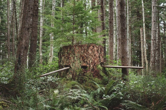 Installation 2, Springboards