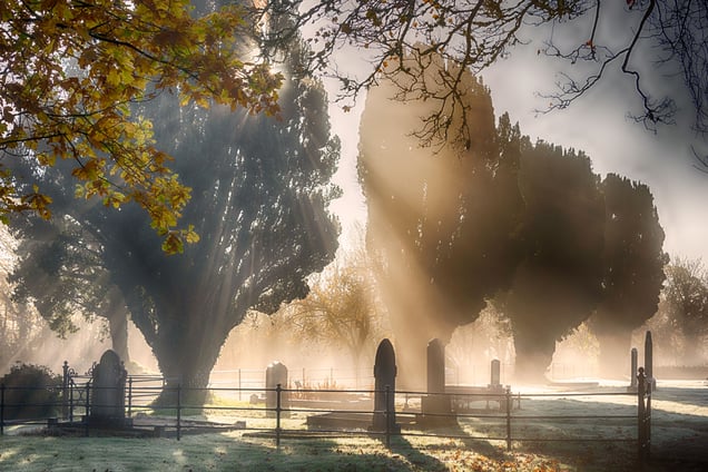 November sun on the Graves