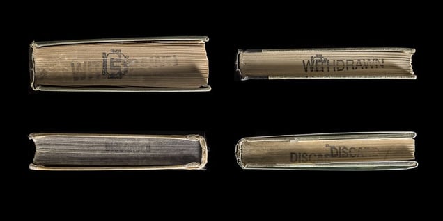 Multiple Edges (House on a Cliff, Selections from Swinburne, The Black Fox, Whistle for a Wind) © Kerry Mansfield