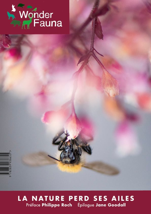 La nature perd ses ailes