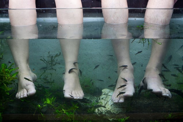 Eat With The Fishes, Marina Bay Sands, Singapore