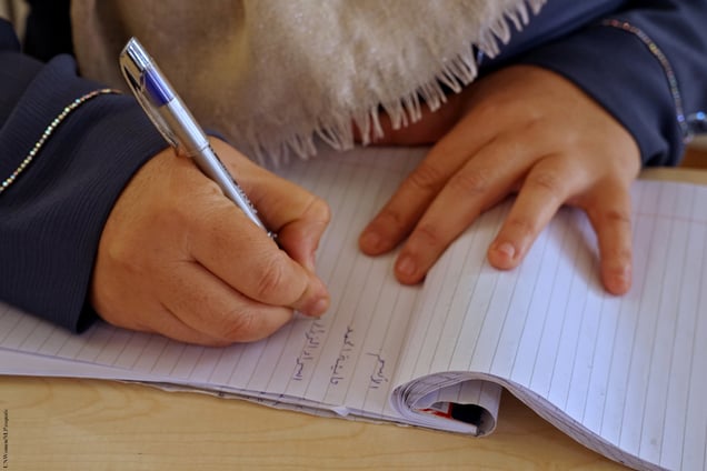 Presentation of the education project by a teacher - details