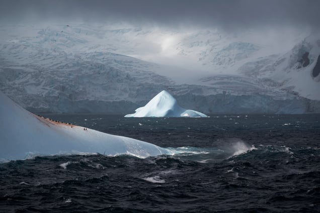 Icebergs & Glaciers, Elephant Island, Antarctica 22 DEC 2019