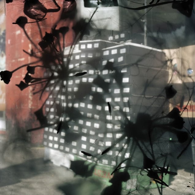 Untitled, from the series "Talking to Ants." Showing at Christophe Guye. Courtesy of PhotoLondon.