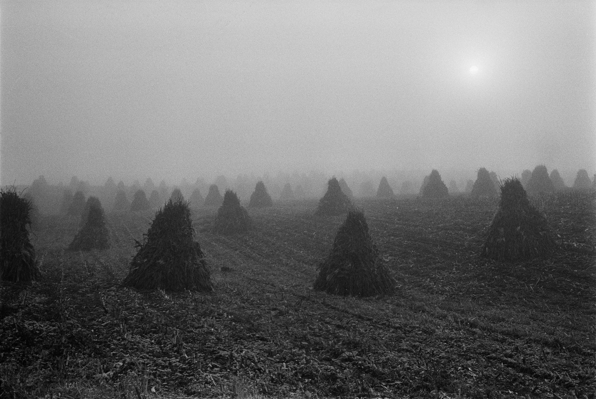 洋書 Jesse Lenz the seraphim The Seraphim - Photographs by Jesse Lenz | Book review by