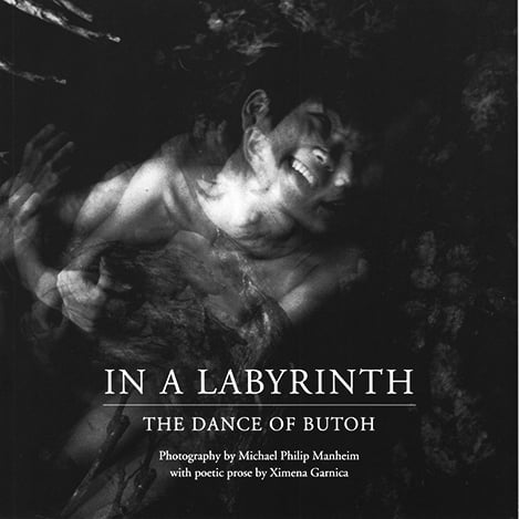 In a Labyrinth