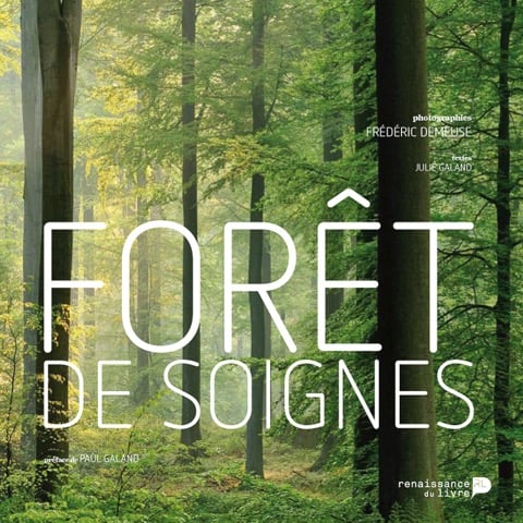 Forêt de Soignes