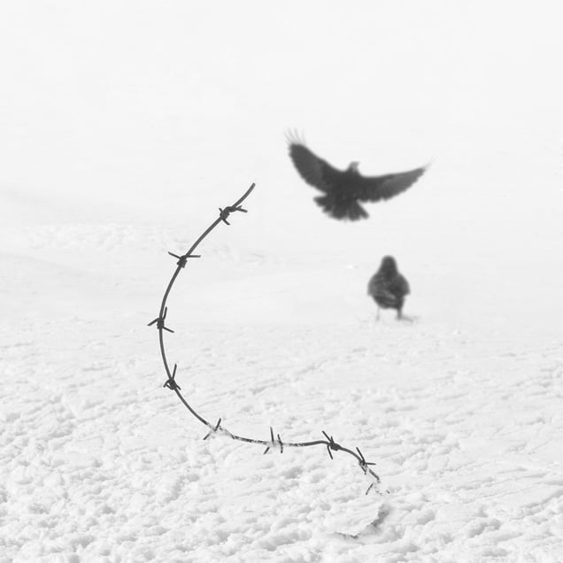 FREEDOM