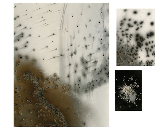 Untitled Works of Fire Unique gunpowder generated gelatin silver prints.