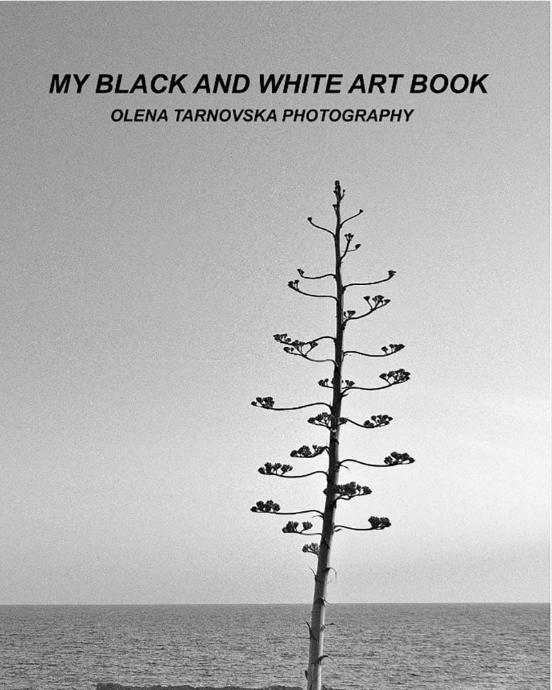 My black and white art book