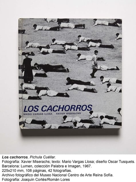 © Museo Nacional Centro de Arte Reina Sofia