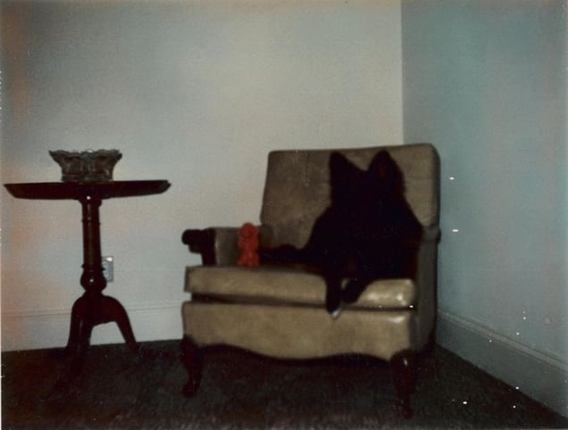 © KesselsKramer Publishing, from In Almost Every Picture #9